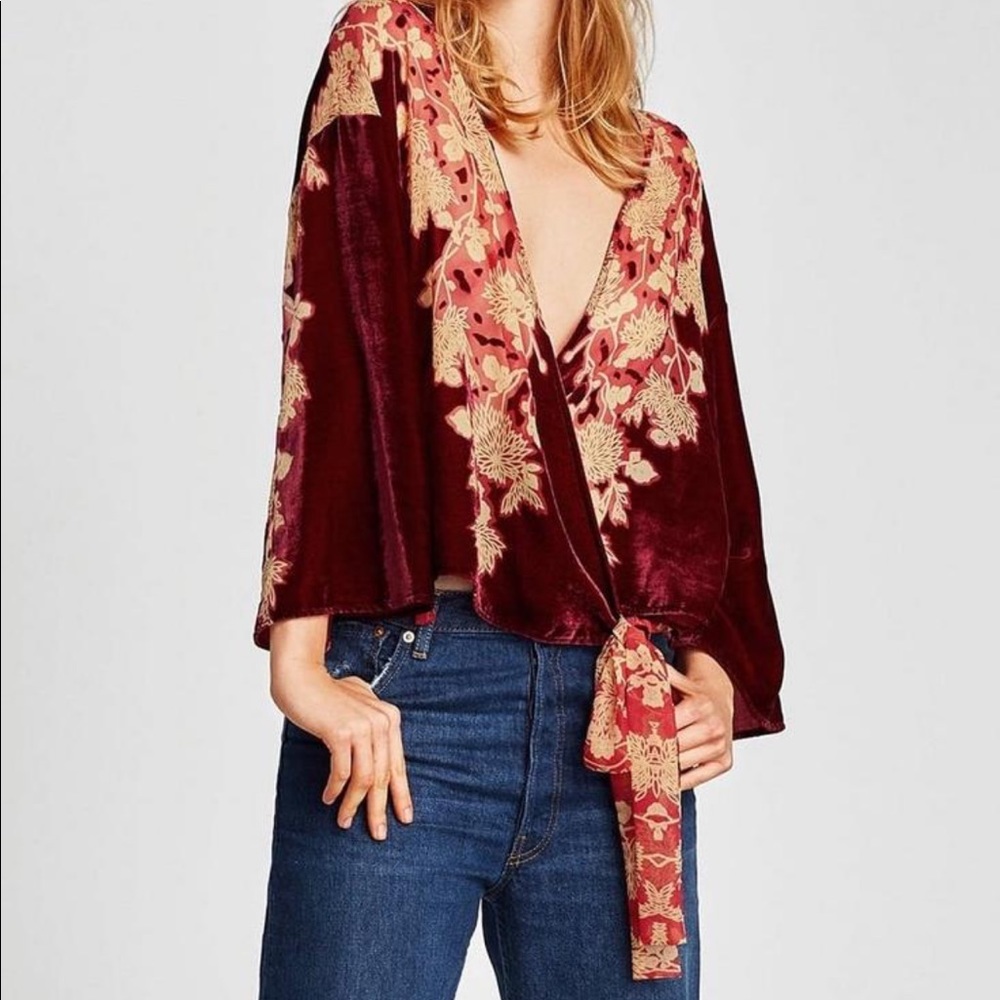 Zara velvet floral blouse
